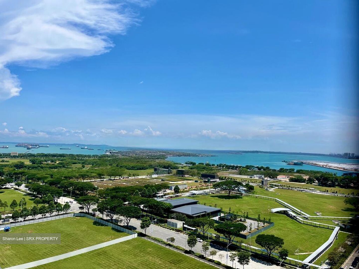 Marina Boulevard (D1), Condominium #463880281